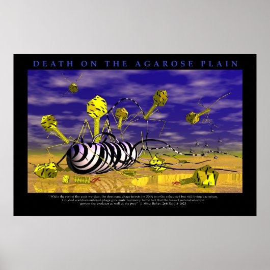 Death on the Agarose Plains Poster (Voorkant)