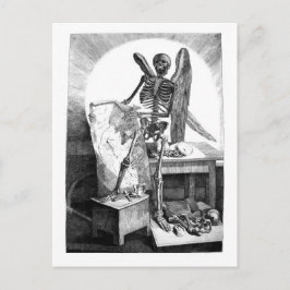 Death Studies Mans Anatomy briefkaart