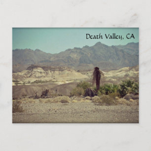 Death Valley, CA Briefkaart