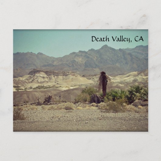 Death Valley, CA Briefkaart (Voorkant)