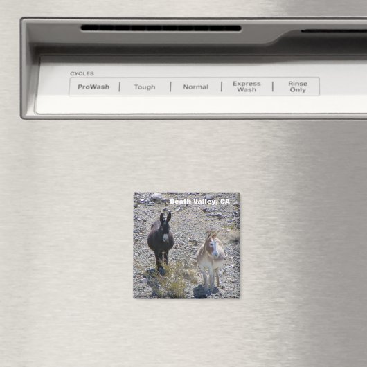 Death Valley Donkey magneet! Magneet (Insitu (Vaatwasser))