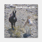 Death Valley Donkey magneet! Magneet (Voorkant)