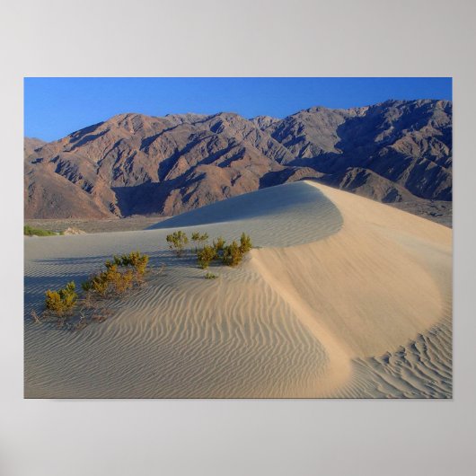 Death Valley Dunes and Mountains poster from 14.95 (Voorkant)