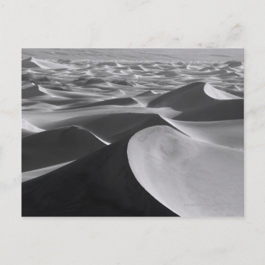 Death Valley Landschap Briefkaart (Voorkant)