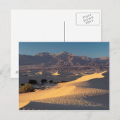 Death Valley Nationaal Monument, Californië Briefkaart (Voorkant / Achterkant)