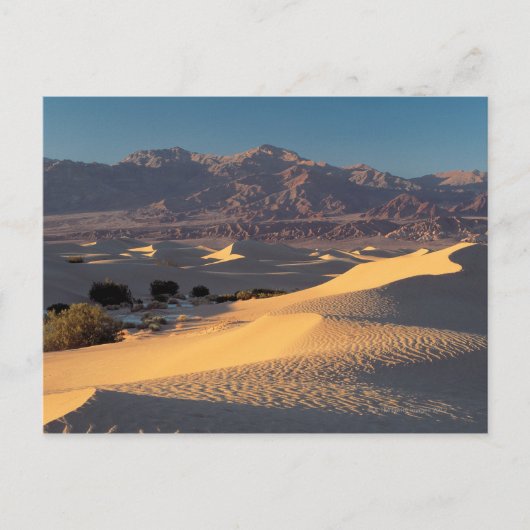 Death Valley Nationaal Monument, Californië Briefkaart (Voorkant)