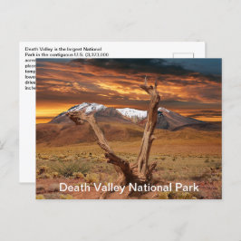 Death Valley National Park Feiten Briefkaart
