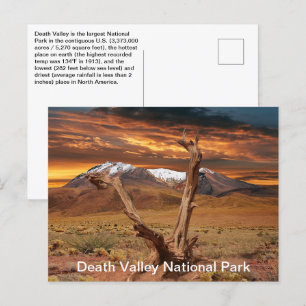 Death Valley National Park Feiten Briefkaart