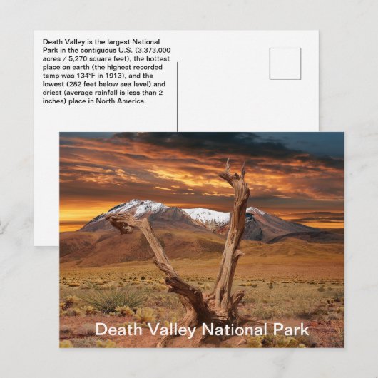 Death Valley National Park Feiten Briefkaart (Voorkant / Achterkant)