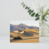 Death Valley Sand Dunes... Briefkaart (Staand voorkant)