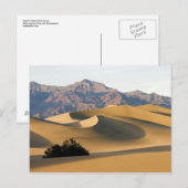 Death Valley Sand Dunes... Briefkaart (Voorkant / Achterkant)