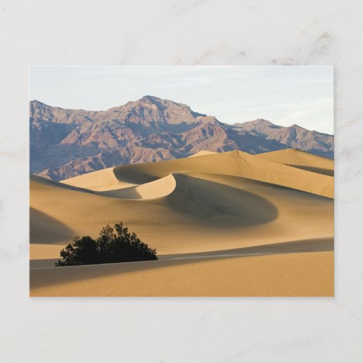 Death Valley Sand Dunes... Briefkaart (Voorkant)