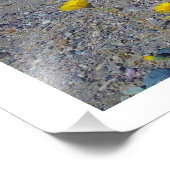 "Death Valley Super Bloom" Natuur Foto Afdruk (Hoek)