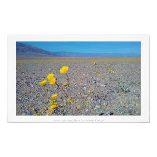 "Death Valley Super Bloom" Natuur Foto Afdruk
