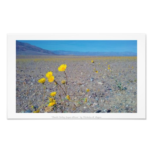 "Death Valley Super Bloom" Natuur Foto Afdruk (Voorkant)