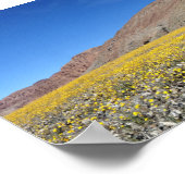 Death Valley Super-bloom Poster (Hoek)