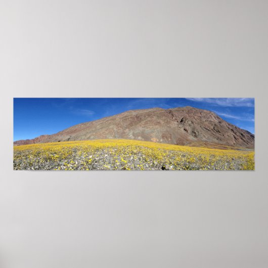 Death Valley Super-bloom Poster (Voorkant)