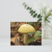 Deathcap paddenstoel Briefkaart (Staand voorkant)
