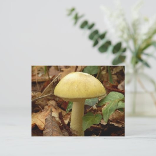 Deathcap paddenstoel Briefkaart (Staand voorkant)