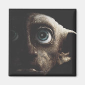 Deathly Hallows - Dobby Magneet (Voorkant)