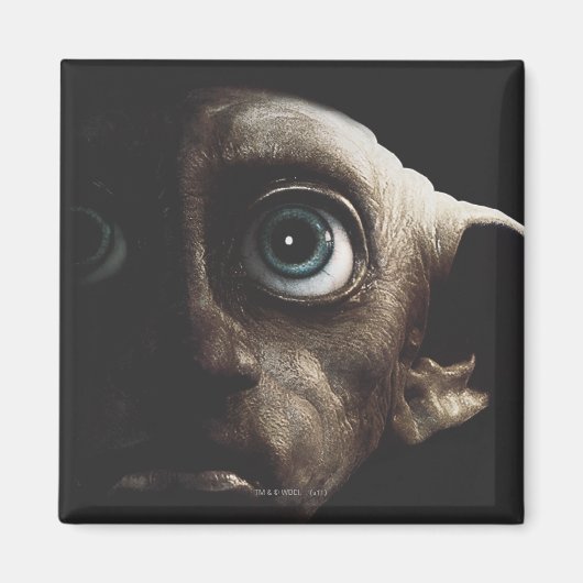 Deathly Hallows - Dobby Magneet (Voorkant)