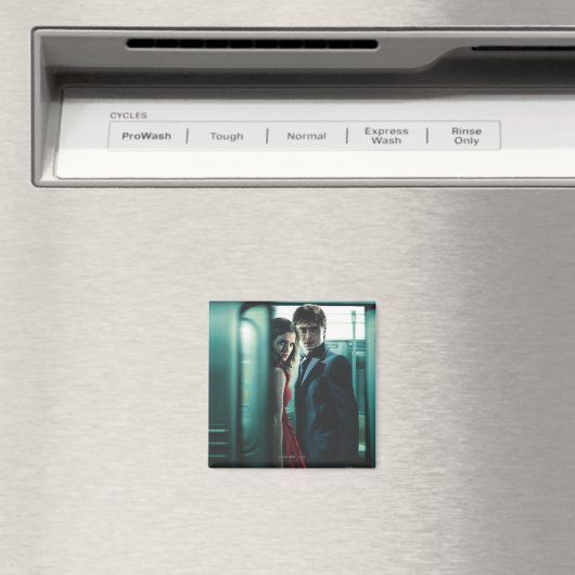 Deathly Hallows - Harry en Hermione Magneet (Insitu (Vaatwasser))