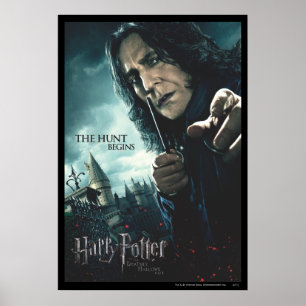 Deathly Hallows - Vorm 2 Poster
