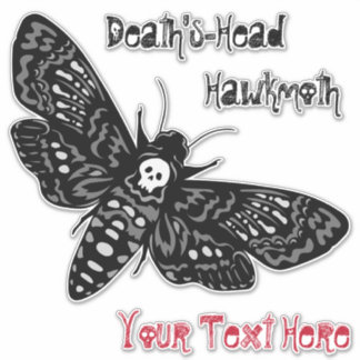 Death's Head Hawkmoth Sinister Skull Retro Sticker
