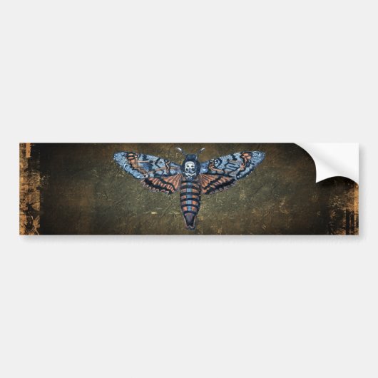 Death's Head Moth, ook bekend als Sphinx atropo mo Bumpersticker (Voorkant)