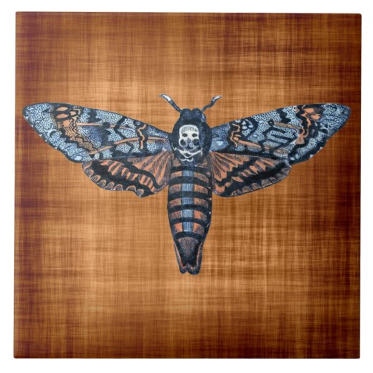 Death's Head Moth, ook bekend als Sphinx atropo mo Tegeltje (Voorkant)