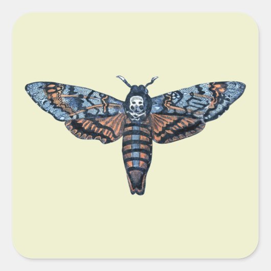 Death's Head Moth, ook bekend als Sphinx atropo mo Vierkante Sticker (Voorkant)