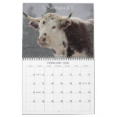 Debbie Roberts Foto 2013 Kalender (Feb 2026)