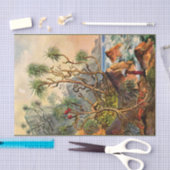 debetpapier van Ernst Haeckel Tissuepapier (Craft)