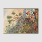 debetpapier van Ernst Haeckel Tissuepapier (Voorkant)