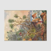 debetpapier van Ernst Haeckel