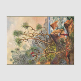 debetpapier van Ernst Haeckel Tissuepapier