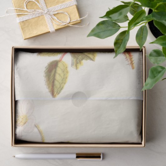  debetpapier voor de tuin tissuepapier (Geschenk)