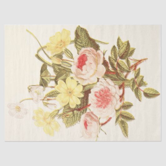  debetpapier voor de tuin tissuepapier (Voorkant)