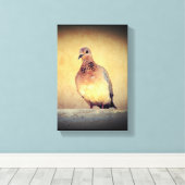 Debonair Dove Canvas Afdruk (Insitu (Houten vloer))