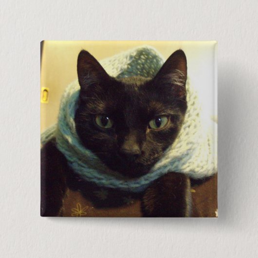 Debonair Seimei Button (Voorkant)