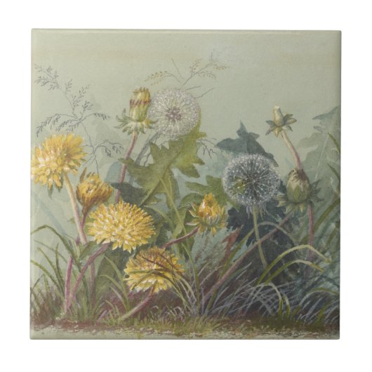 Deborah Griscom Passmore Waterverf Album Pl.60 Tegeltje (Voorkant)
