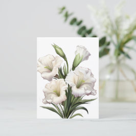 DEBORAH STEWART MINISTRIES-WHITE LILY BRIEFKAART
