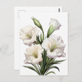 DEBORAH STEWART MINISTRIES-WHITE LILY BRIEFKAART (Voorkant / Achterkant)