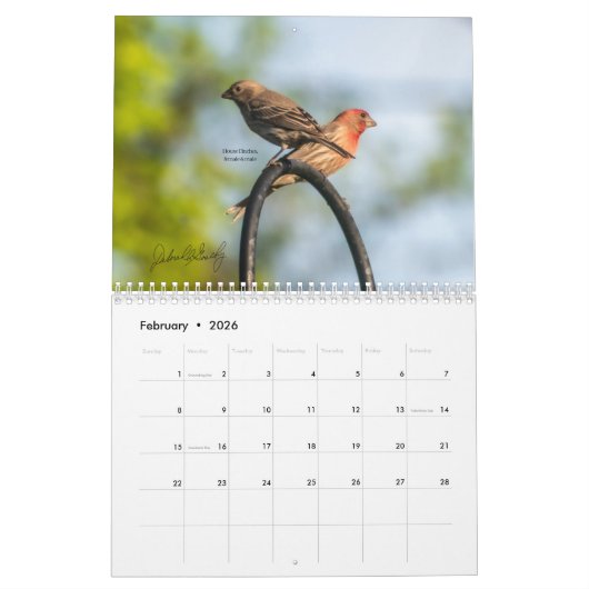 DeborahGraphix 2025 Kalender (Feb 2026)