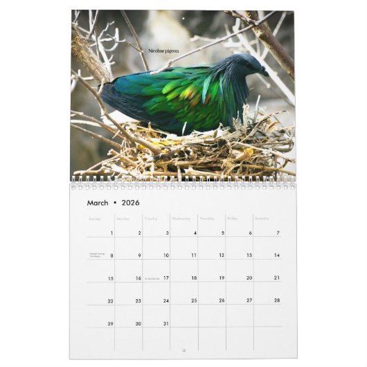 DeborahGraphix 2026 Calendar Kalender (Mar 2026)