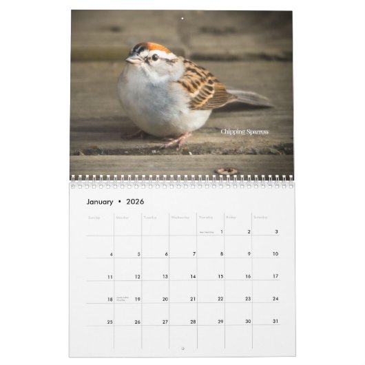 DeborahGraphix 2026 Calendar Kalender (Jan 2026)