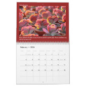 Debra Lee Baldwin Calendar Kalender (Feb 2026)