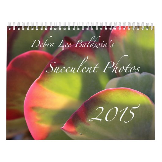 Debra Lee Baldwin's Succulent Photos 2015 Calendar Kalender (Hoes)