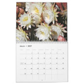 Debra Lee Baldwin's Succulent Photos 2015 Calendar Kalender (Mar 2027)