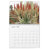Debra Lee Baldwin's Succulent Photos 2015 Calendar Kalender (Jan 2027)